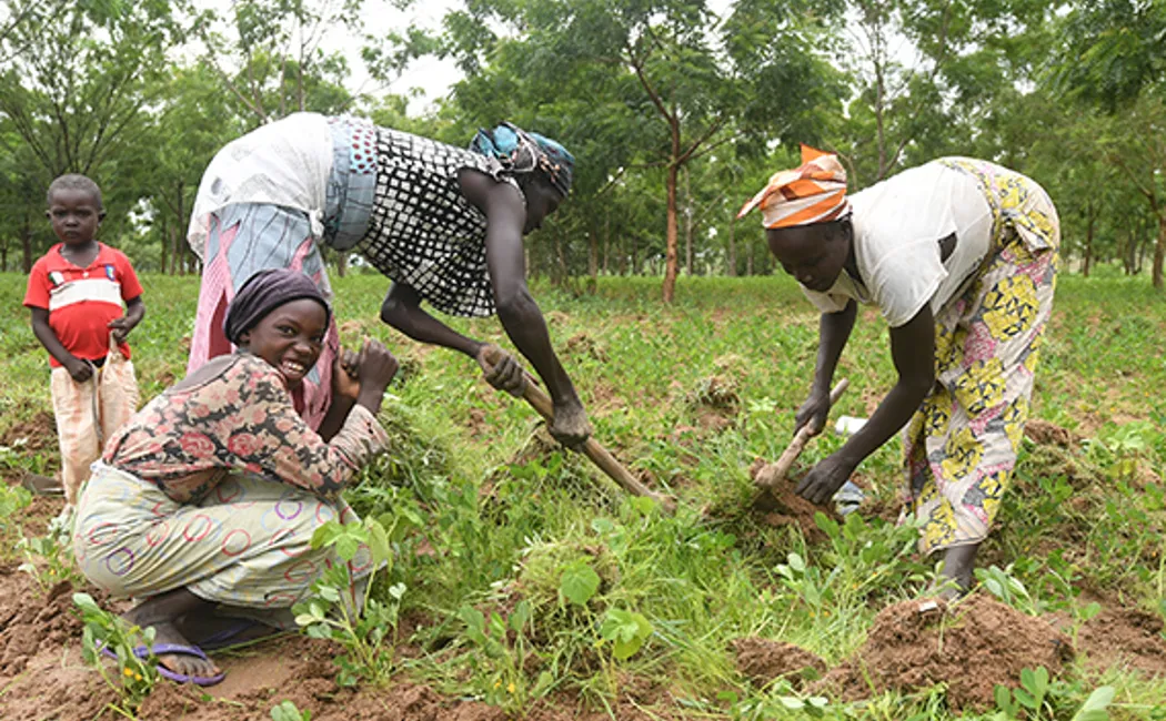 Extension Green Wall 2