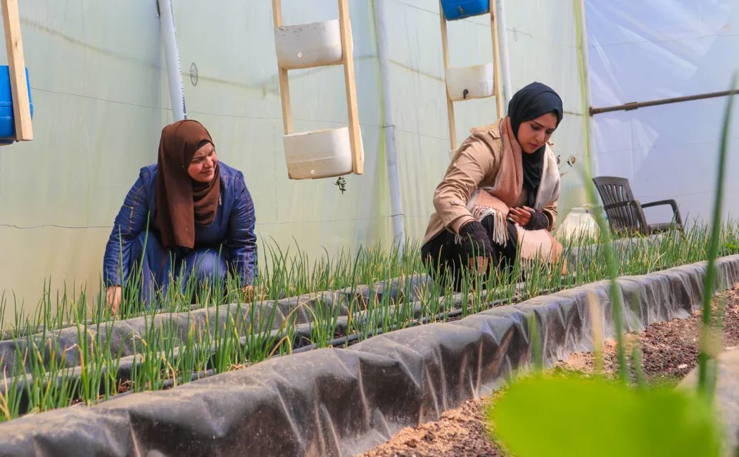 Lwf Debra Journal Hydroponics2