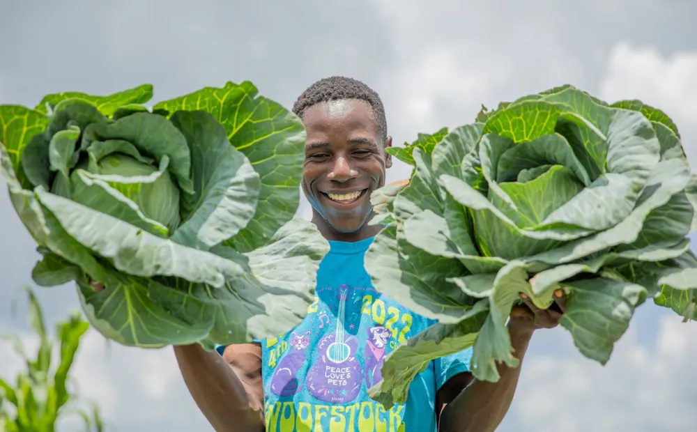 Farming tools and seeds