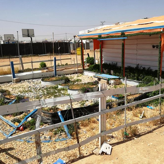 Extension Garden Phoebe Enews Feb