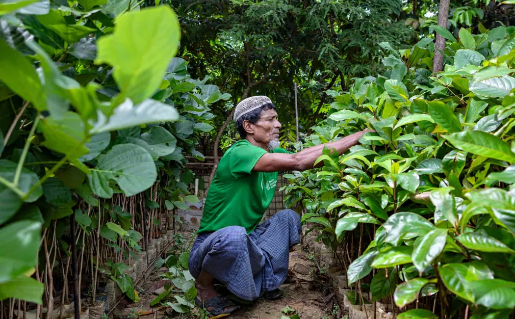 Bangladesh_UNHCR-environment-hub-in-Cox's-Bazar