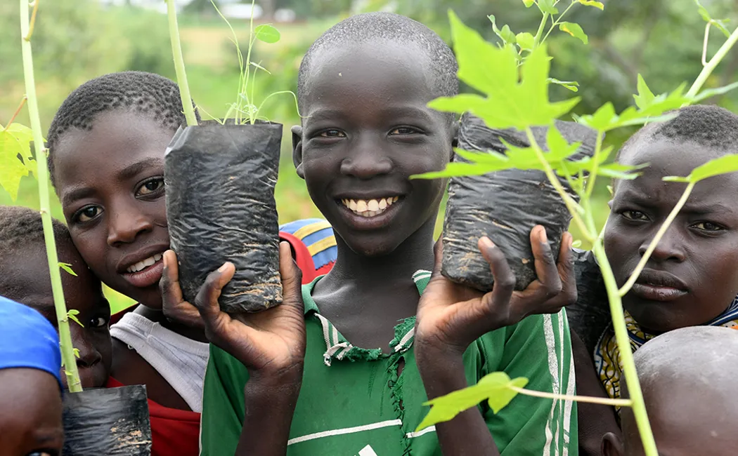 Facebook Refugees In Cameroon Help Build Great Green Wall To Combat Desertification